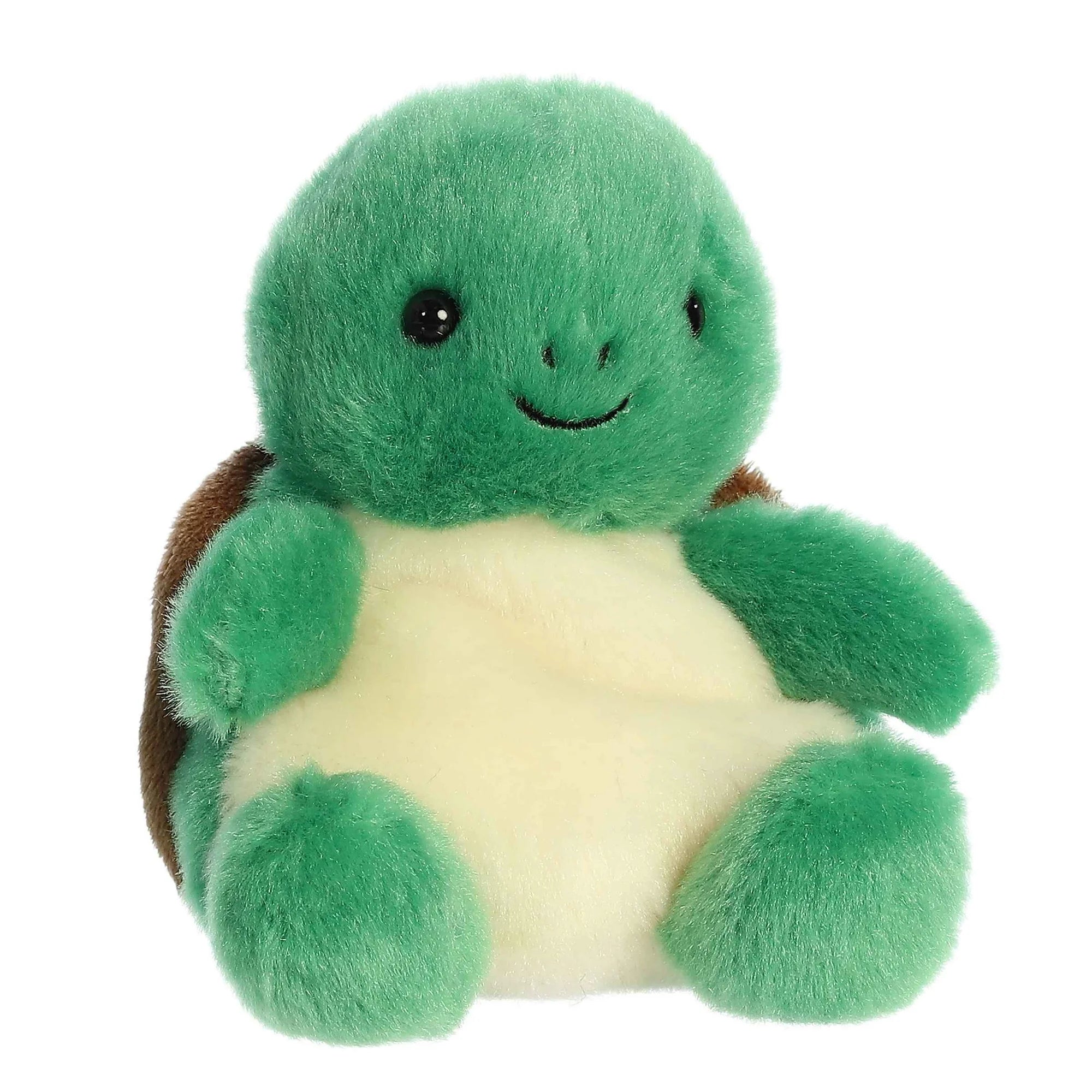 The Little Turkle